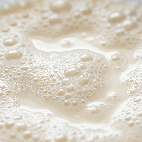 Fermented Whey Protein