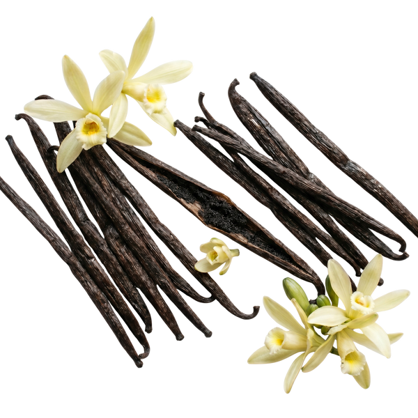 Organic Vanilla Bean