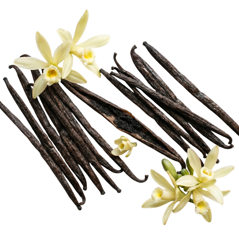 Organic Vanilla Bean